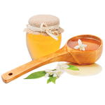 Mel_e_Flor_de_Laranjeira